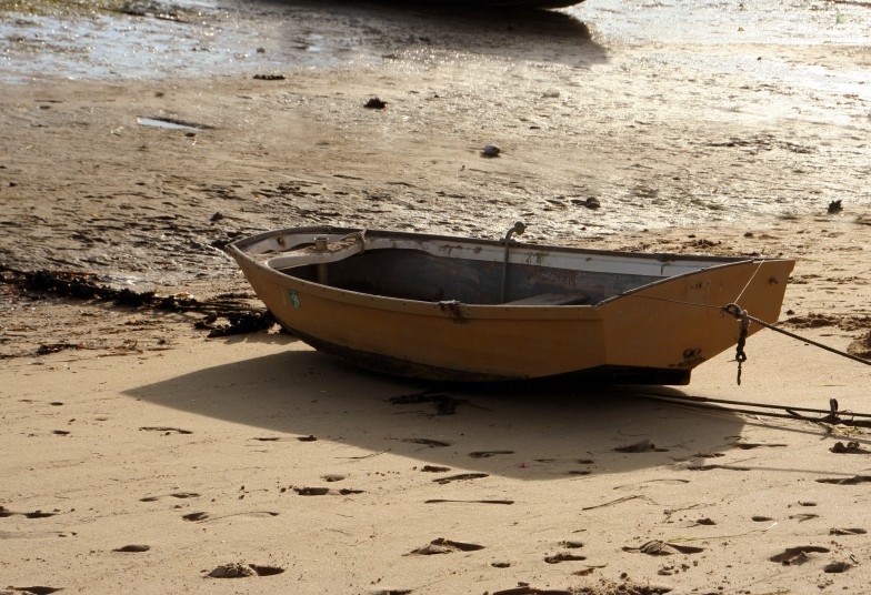 Rowboat on shore023