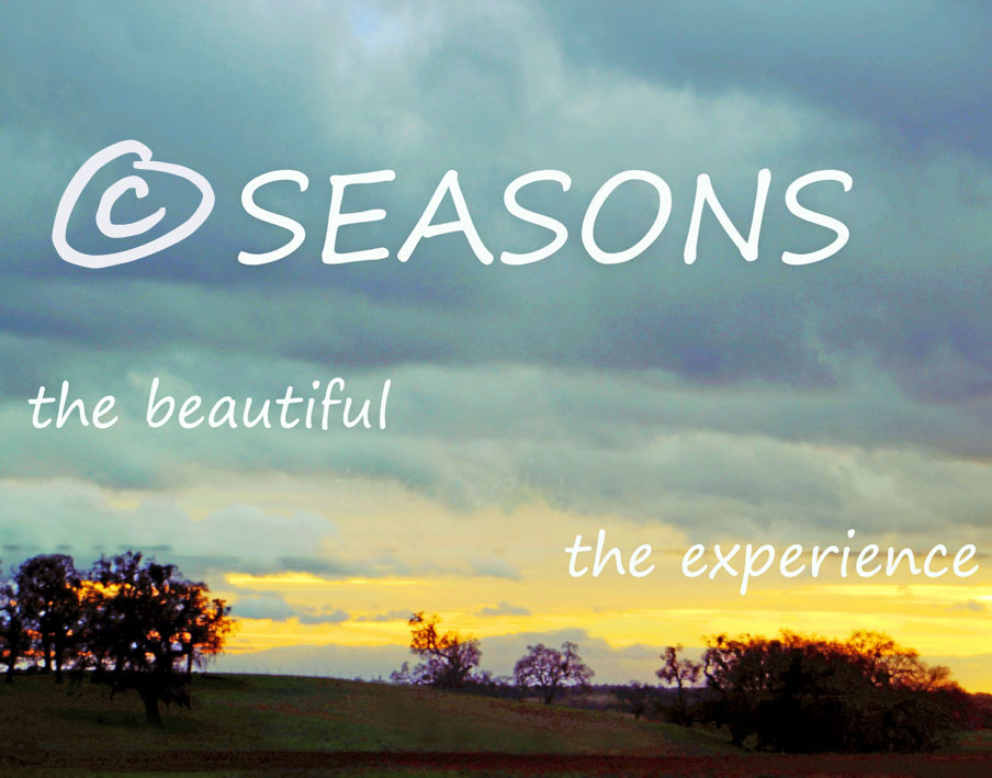 Seasons in Thought and life